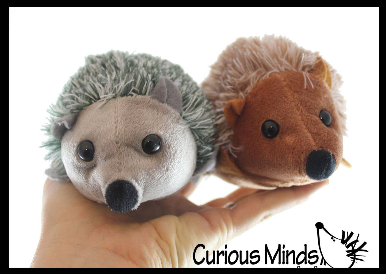 Curious Minds Toys - Vendita all'ingrosso Peluche - Bambini e neonati - 1 Peluche Riccio - Giocattolo Morbido e Adorabile2