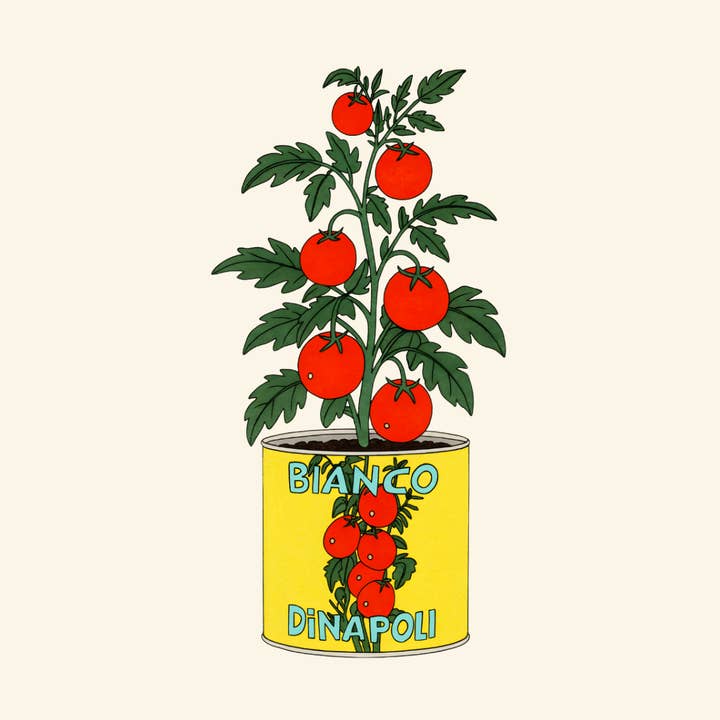 Bianco DiNapoli Tomato Plant Sticker – Foodie Illustration for wholesale by inviting affairs paperie
