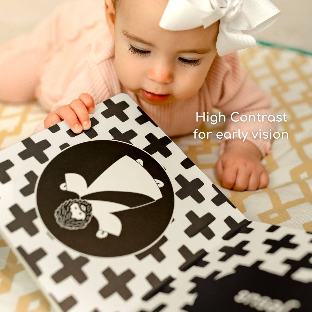 The Little Rose Shop - Wholesale Baby & Toddler Book (0-2) - Baby's 1st Catholic Book: A High Contrast Board Book1