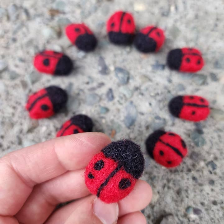 Set di 2 magneti coccinella feltrati ad ago per la vendita all'ingrosso da parte di Coastal Felting