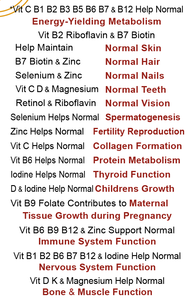BioTech Life Sciences - Wholesale Oral Supplement/Vitamin - Energise Super Vitamins & Minerals - World's Best Multivit3