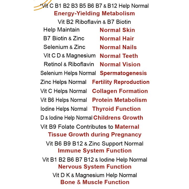 BioTech Life Sciences - Wholesale Oral supplement/vitamin - Energise Super Vitamins & Minerals - World's Best Multivit3