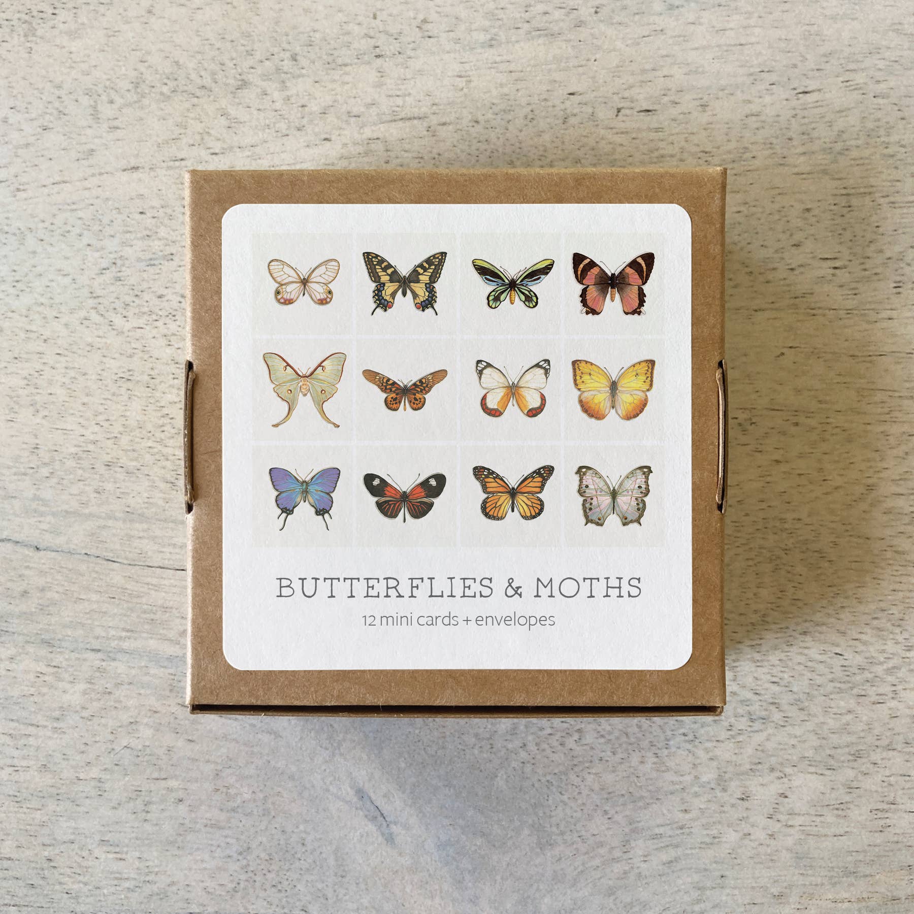 Yeesan Loh - Wholesale Stationery/Notecard Set - Mini Cards Set / Butterflies & Moths5