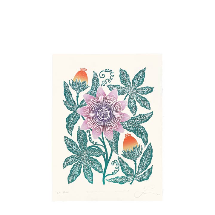 Lili Arnold - Wholesale Art Print - Passiflora Edulis aka Passion Fruit1