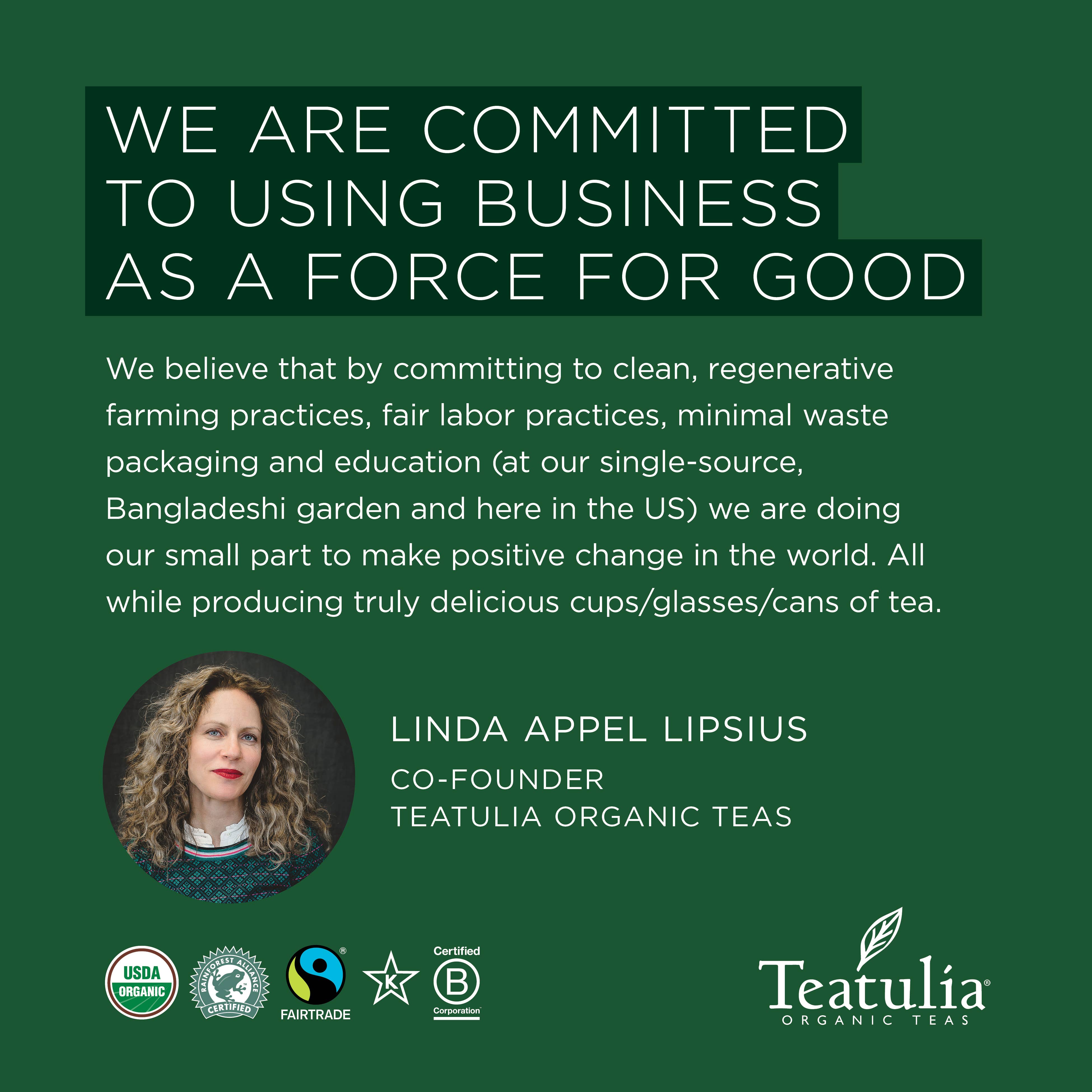 Teatulia Organic Teas - Vente Sachets de thé - Sachets de thé carrés bio emballés Masala Chai5