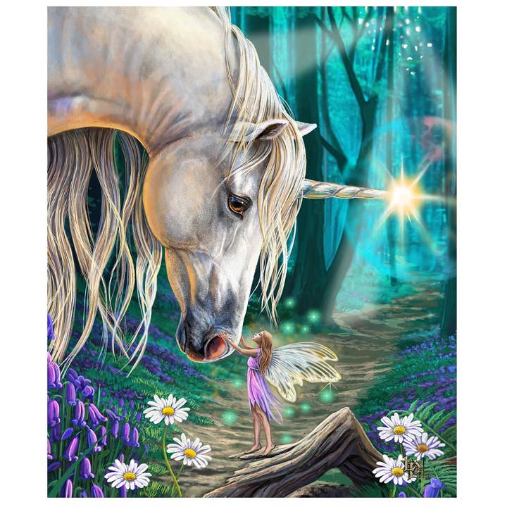 MID-SOUTH PRODUCTS - Wholesale Throw Blanket - Lisa Parker Throw Blanket - Fairy Whispers