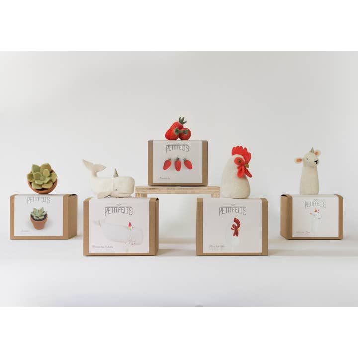 PetitFelts - Wholesale DIY Craft Kit - Needle Felting Kit - DIY - Succulent4