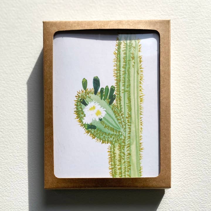 Caja Blooming Saguaro para venta al por mayor de LLUBAV CO.