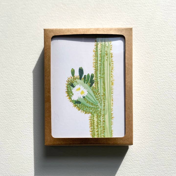 Blooming Saguaro Box Set for wholesale by LLUBAV CO.