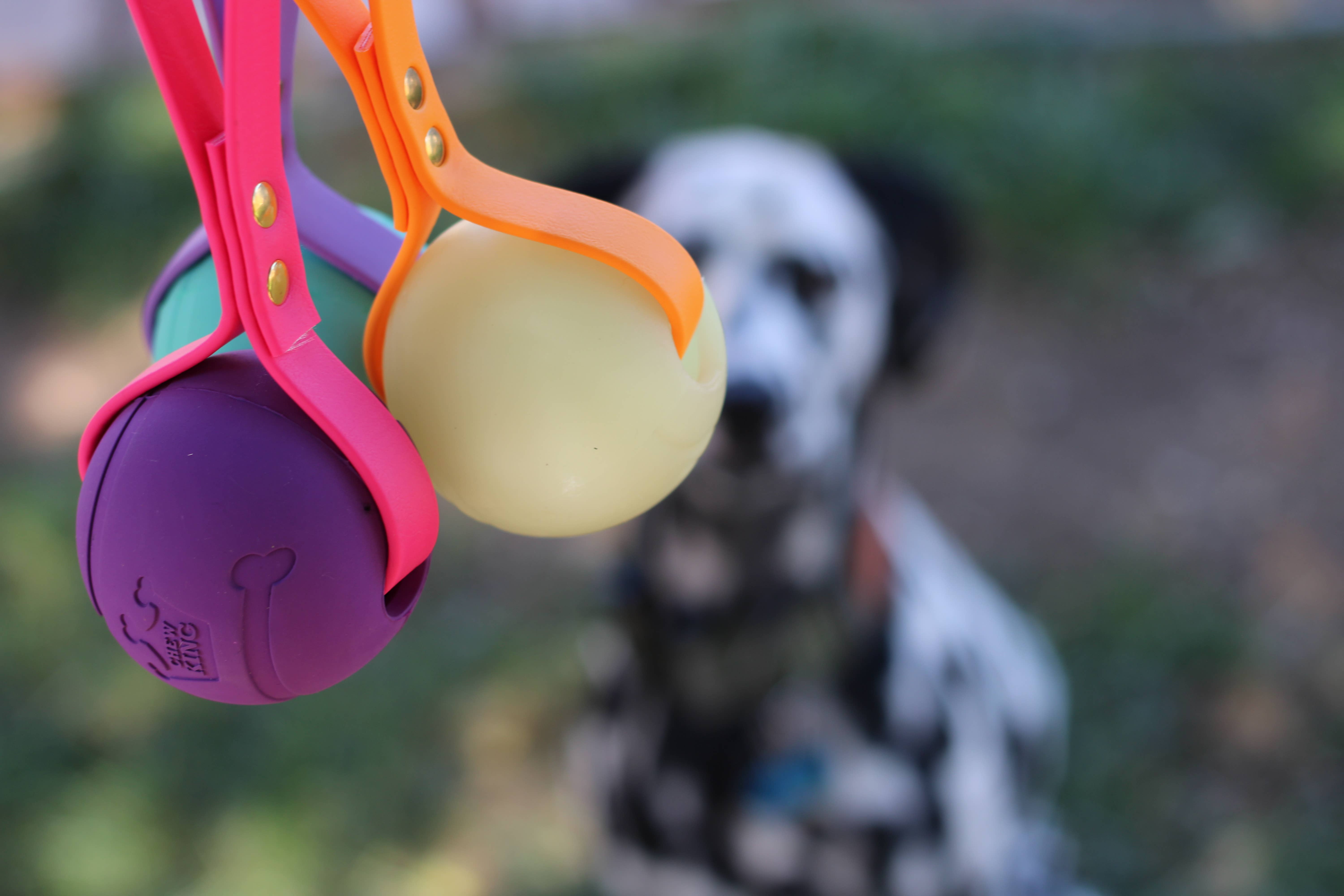 Mile High Paws - Wholesale Pet Toy - Dog - BioThane Tug Toy | Fetch Toy | Toss Toy | Training Reward3