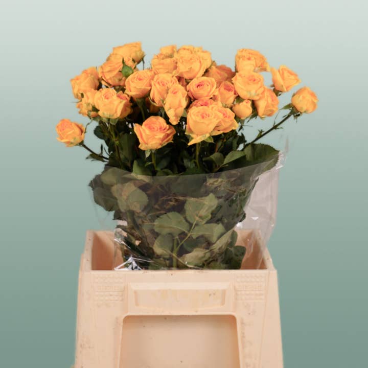 Rose Ramona (Spray) (10 Stems) and other Purchase wholesale artificial rose heads. Free returns & net 60 terms on Faire trending on Faire.