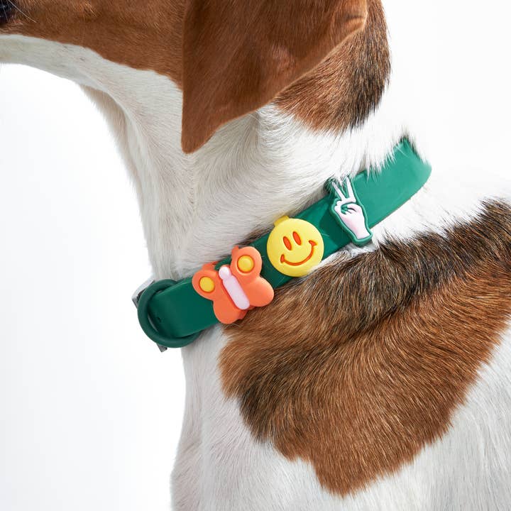 Wild One - Wholesale Pet Collar Charm - Cat/Dog - Flair Collar and Leash Charm Pack Accessories11