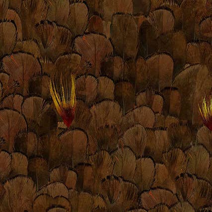 Mineheart – wholesale Wallpaper – Feather Pattern Brown and Yellow Wallpaper1