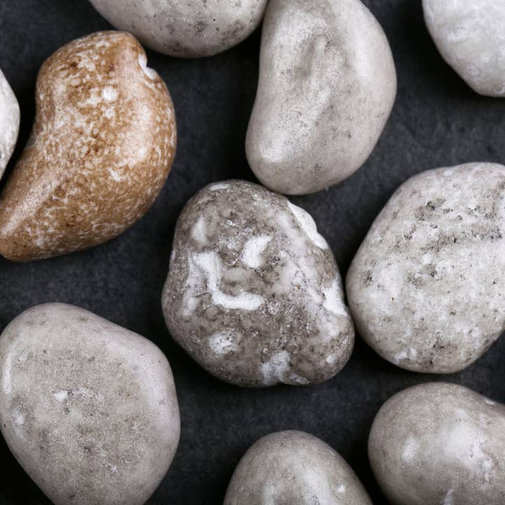 Amarelli Fabbrica Di Liquirizia - Wholesale Licorice - SASSOLINI 40g tin Sugar coated Licorice flavored with Anise2