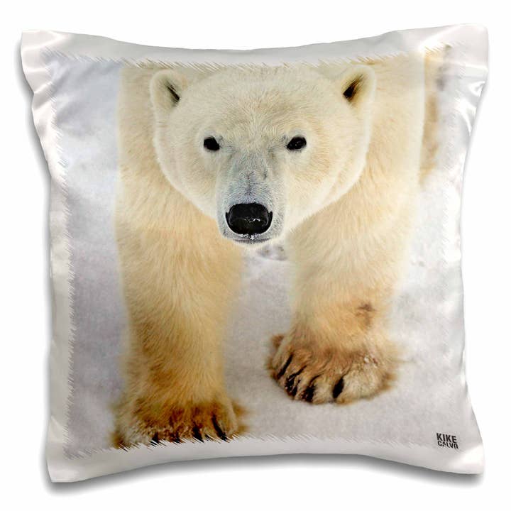 3dRose, Polar Bear Close-up, Pillow Case for wholesale by 3dRose