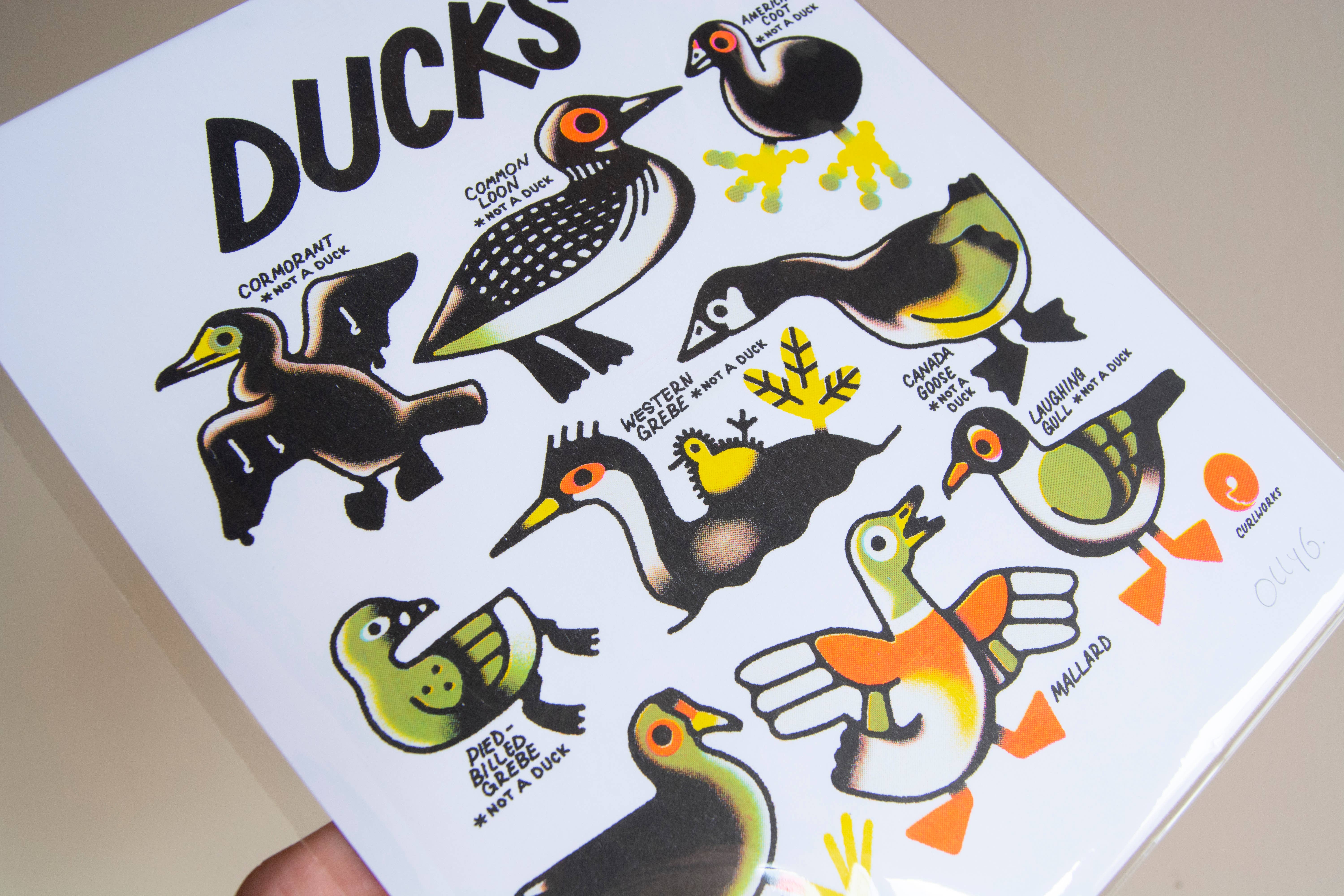 Curlworks – wholesale Art print – Ducks (not a duck) - 8x10" Risograph Print6
