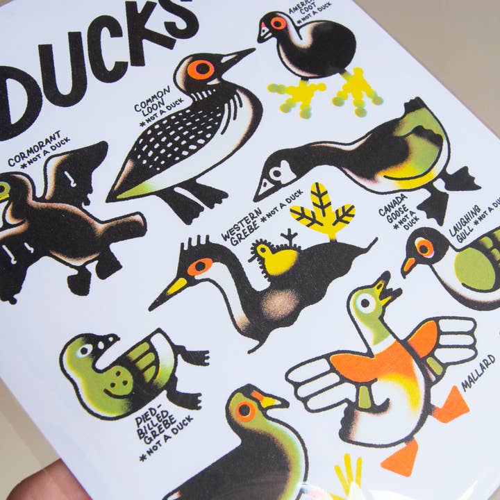 Curlworks - Vente Affiche d'art - Des canards (pas un canard) - Impression risographique de 8 x 10 pouces6
