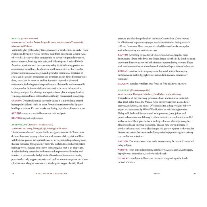 Union Square & Co. - Wholesale Book - Adult - Healing Herbs Handbook: Recipes for Natural Living