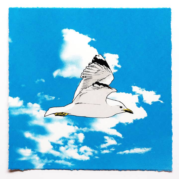 Seagull in Flight Print for wholesale by Fiona Hamilton
