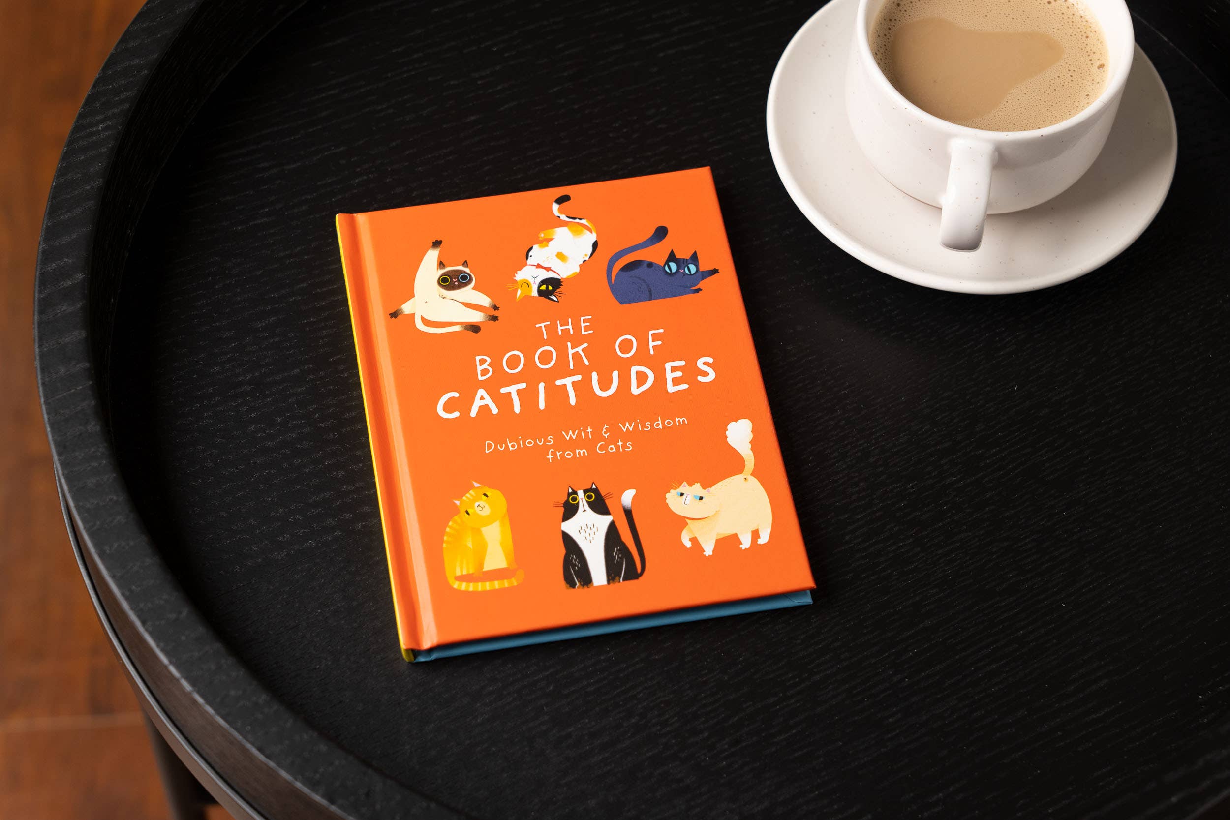 HarperCollins Focus - Wholesale Pets - The Book of Catitudes: Dubious Wit & Wisdom from Cats1