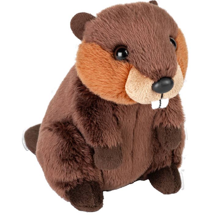 Wild Republic - Wholesale Stuffed/plush toy – Kids & baby - Pocketkins - Eco - Beaver0