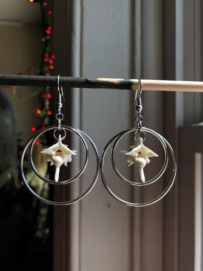 Silver Hoop Vertebrae Earrings oddities taxidermy for wholesale by Osteal Blossoms