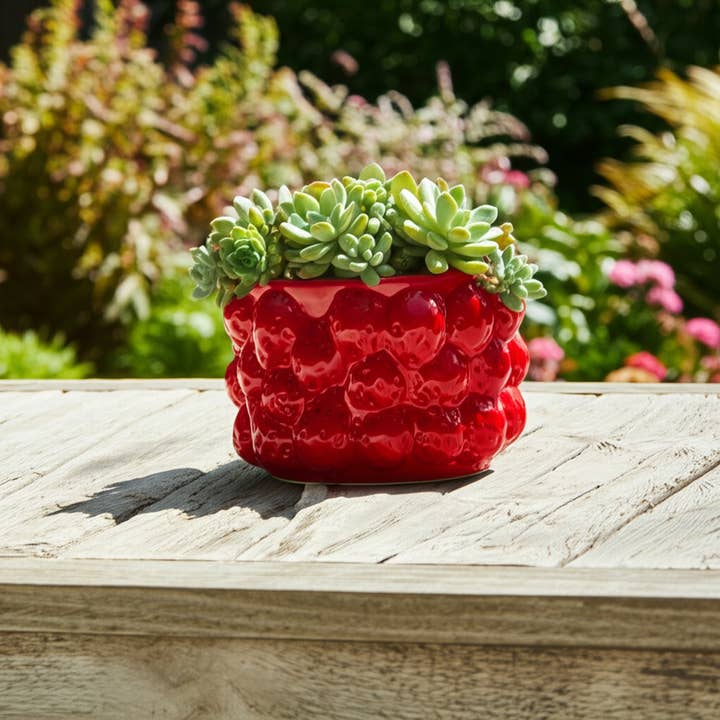 Sagebrook Home - Wholesale Plant Pot - Ceramic Strawberries Flower Planter Pot - Red, 7 in.2