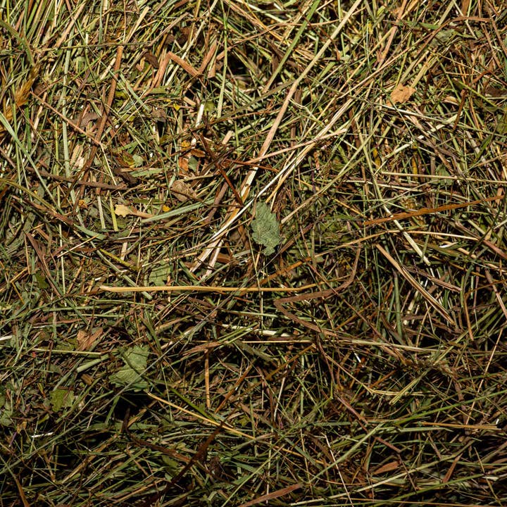 Heno de hierbas Premium para jardín – 100% heno natural de praderas de hierbas – Cobertura del suelo para huertos elevados de verduras y plantas ornamentales – Mantillo sostenible del primer corte para venta al por mayor de Oasis of Life