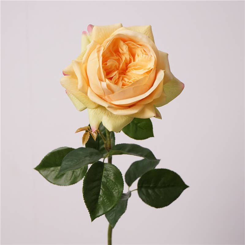 Sweet Home Deco - Wholesale Artificial Flowers - 26‘’T Real Touch Juliet Blooming Rose Spray, Spring Roses6