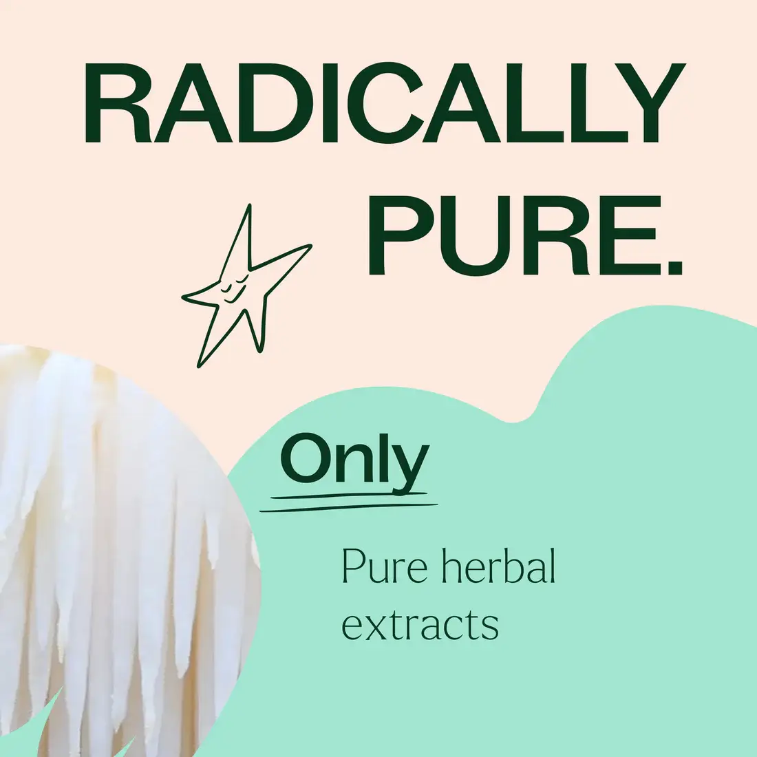 Plant Therapy - Wholesale Oral Supplement/Vitamin - Lion's Mane Herbal Supplement Capsules-120 Capsules3