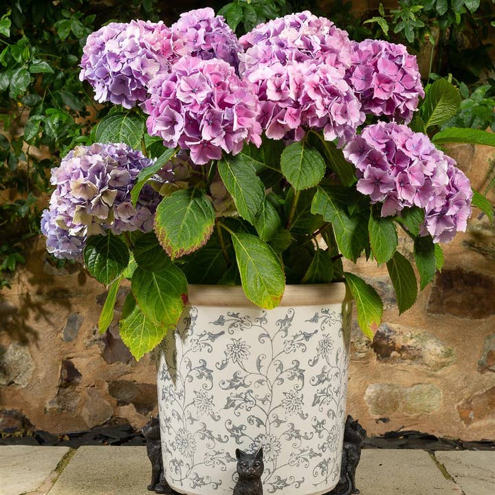 Sitting Cat Plant Pot Feet - Set of 3 for wholesale by Jardinopia UK