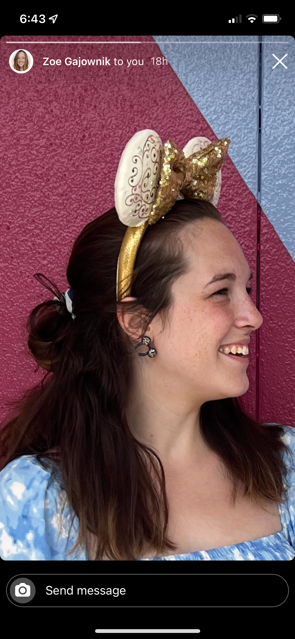 Vandy Visuals Shop - Wholesale Knopjes/oorstekers - Mickey en Minnie Mouse Oren Strik Haarband Oorbellen5