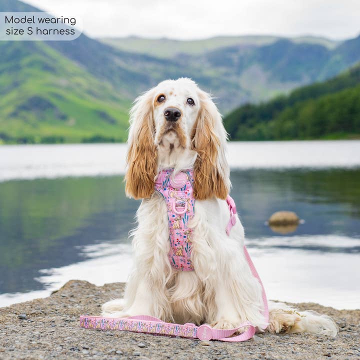 Pawsome Paws - Wholesale Pet Harness - Dog - Disney© Tough Trails™ Harness - Nala