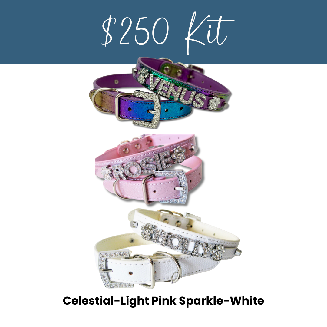 House of FurBaby - Wholesale Pet Collar - Cat/Dog - DIY Pet Collar Bar Kit: Silver Sparkle 280 Pieces $600 Value22