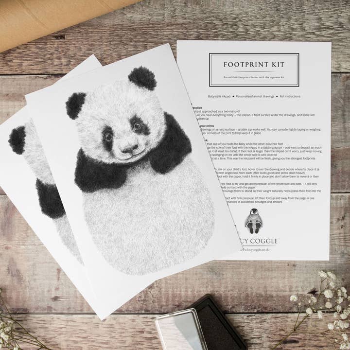 Lucy Coggle Designs - Vente Kit d'empreintes pour mains et pieds – enfant et bébé - Kit d'empreinte bébé panda1
