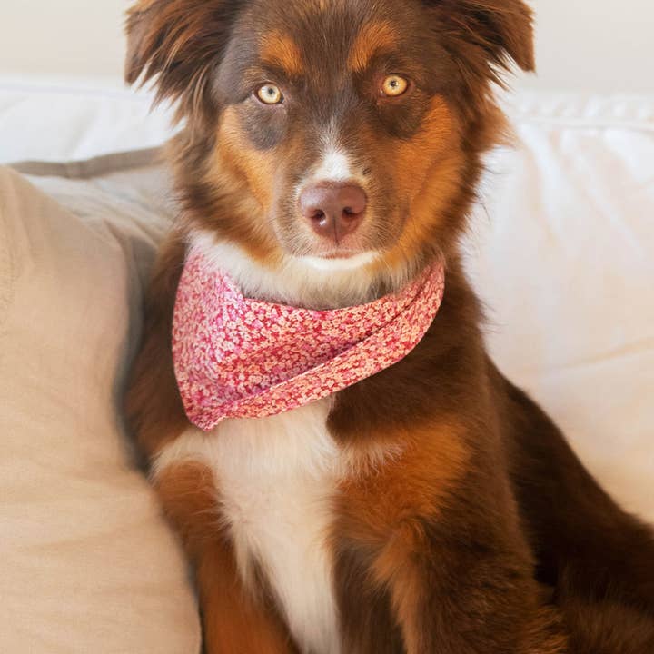 MODERNBEAST - Wholesale Pet Bandana - Dog - FLORAL BANDANAS (Options Available)