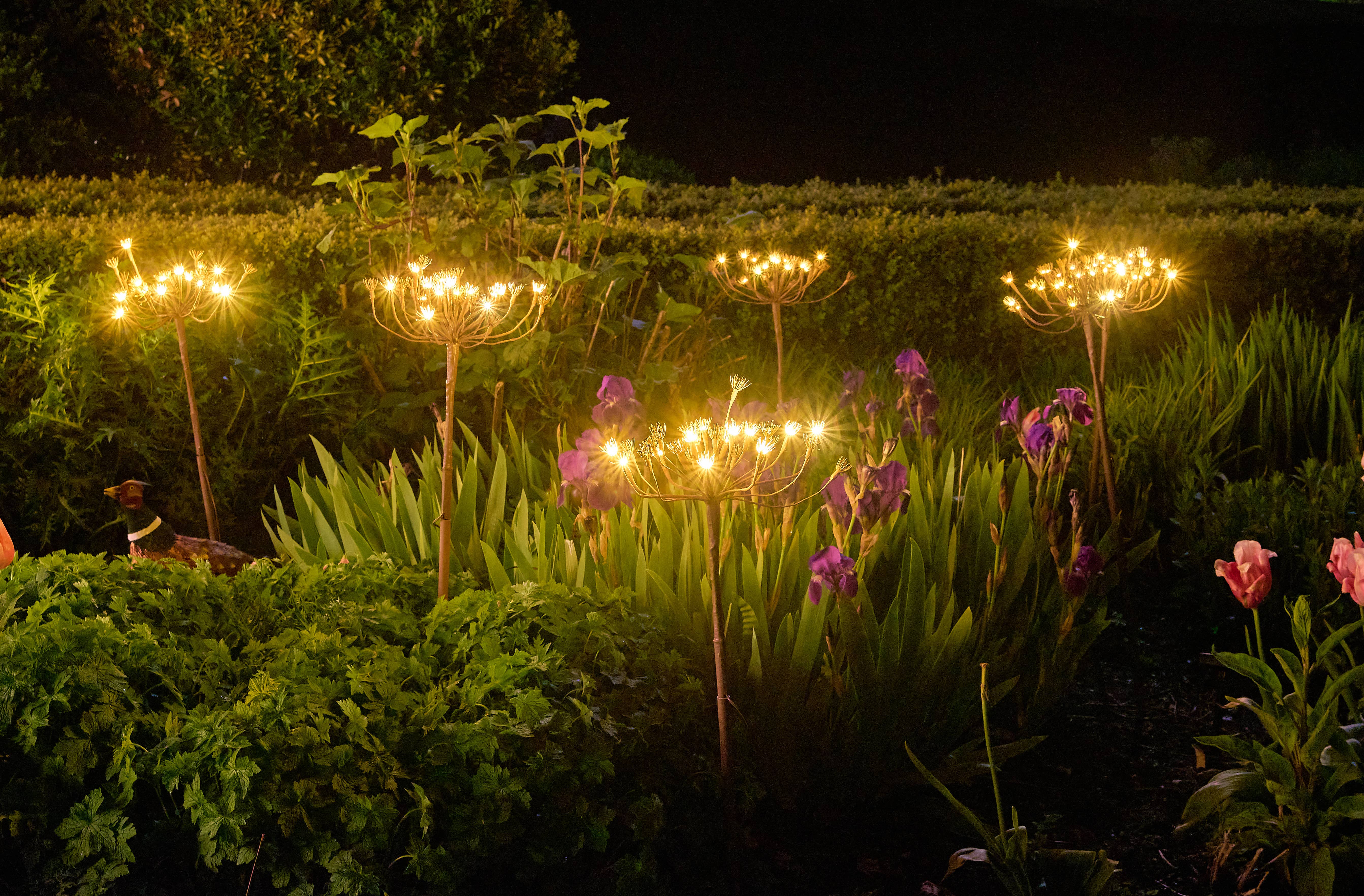 Lumina Of London Co - Wholesale Outdoor/Lawn Light - Solar Wild Fennel Garden Lights1