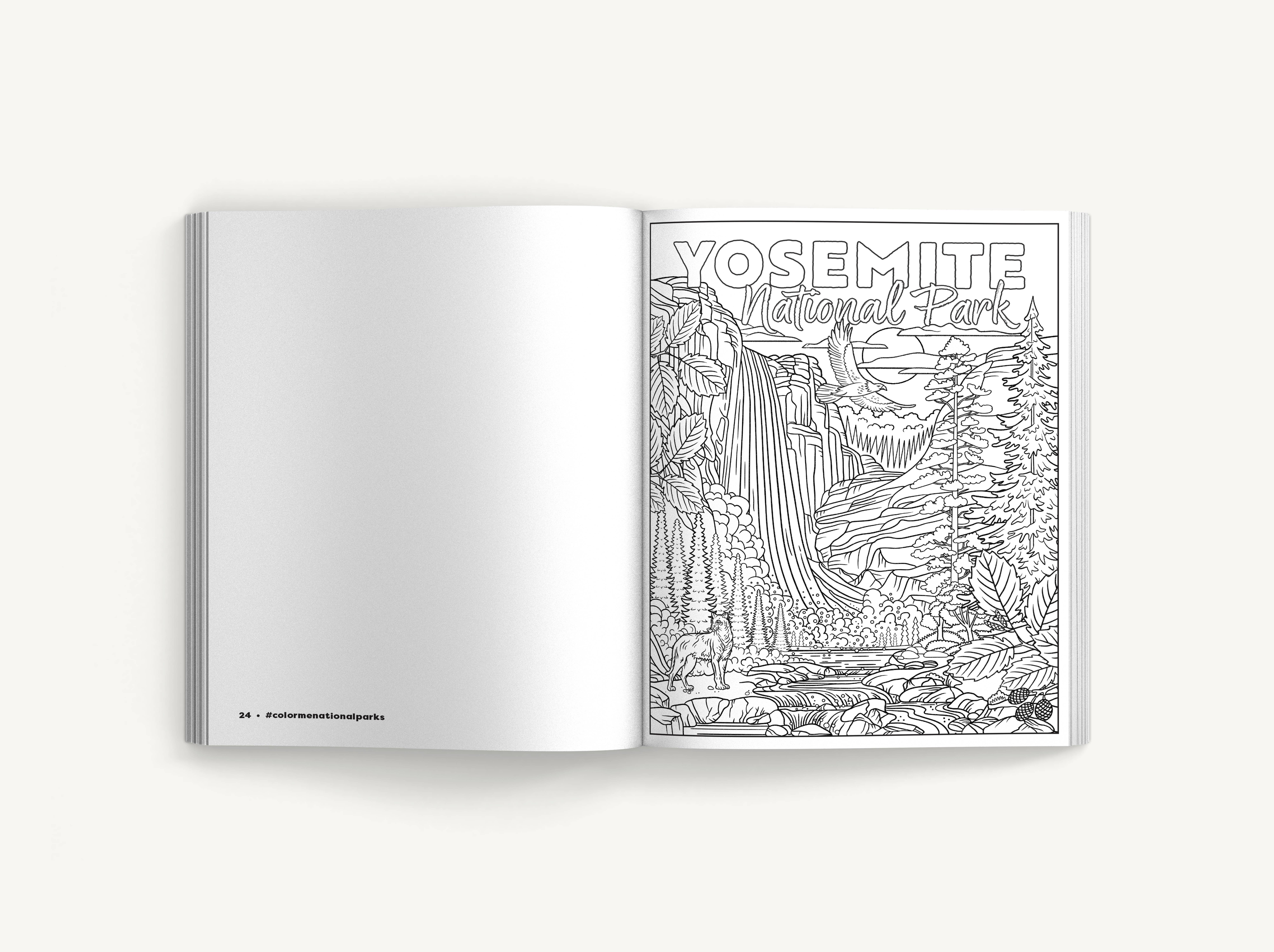 HarperCollins Focus - Wholesale Coloring & Activity Book - Adult - Color Me National Parks: An Adventurous Coloring Book4