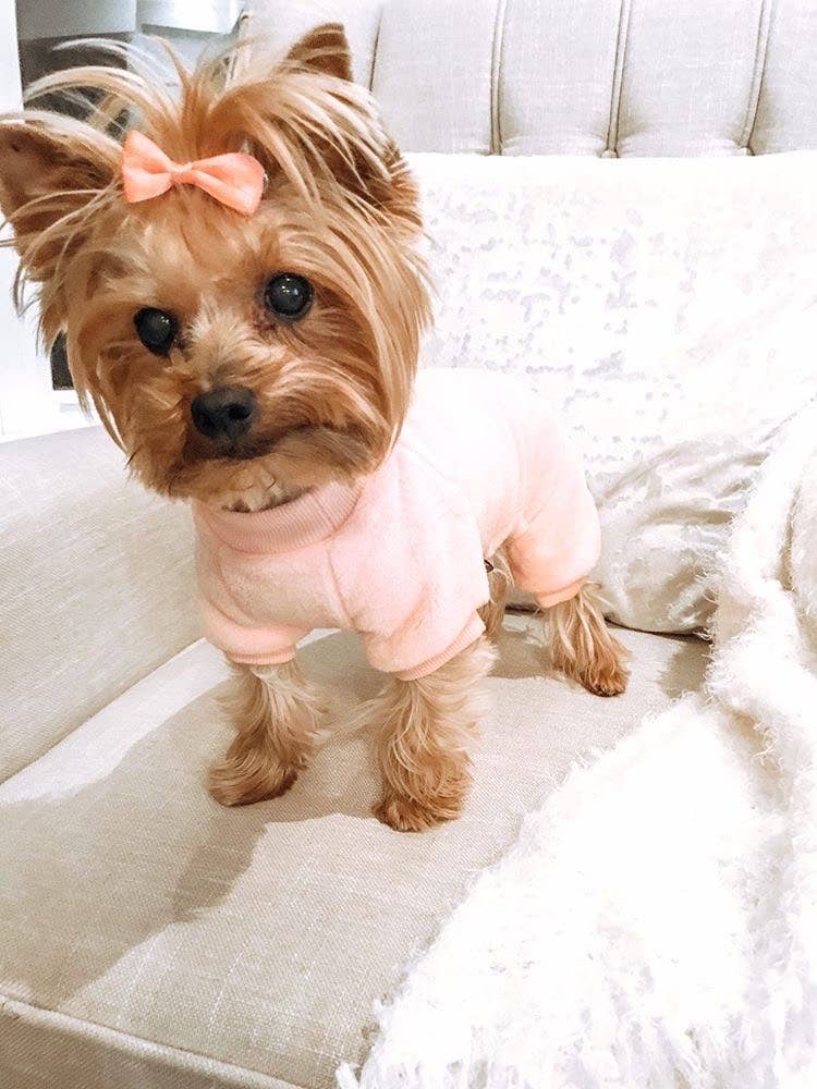 Parisian Pet® - Vente Pyjama – chien - Pyjama en velours rose blush – Vêtements de nuit doux et premium pour animaux de compagnie3