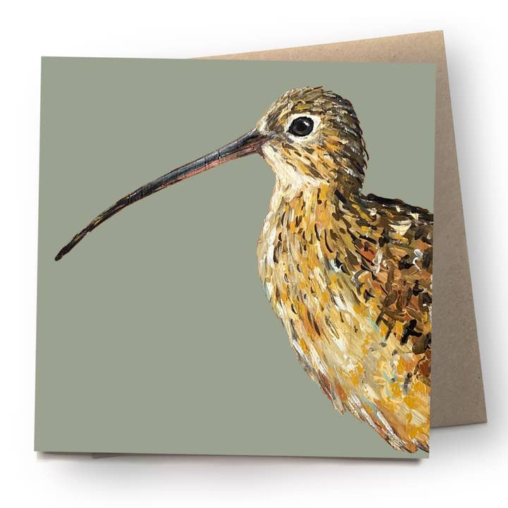 Curlew Card | Eco | Recycled | Bird | Blank for wholesale by Ellwood Parker