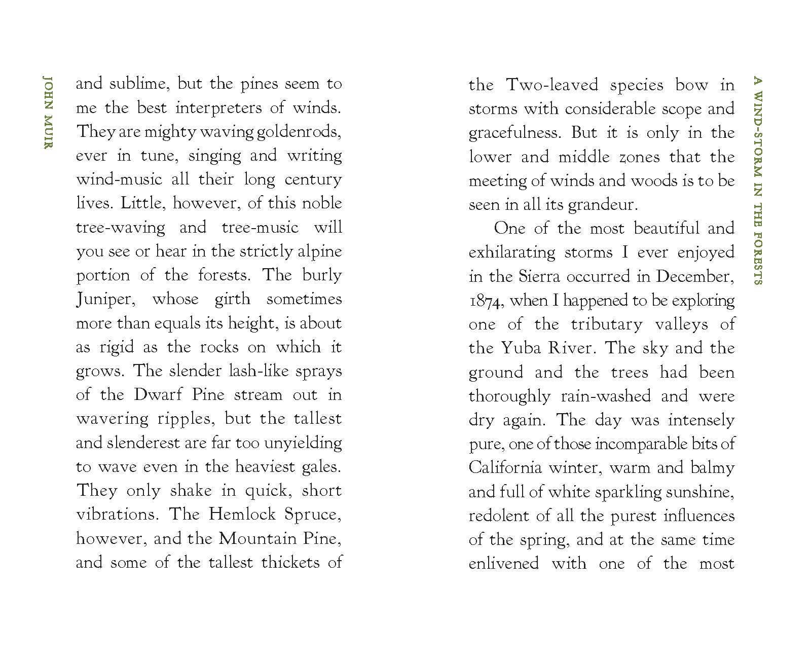 Applewood Books - Wholesale Nature & Outdoors - A Wind-Storm in the Forests3