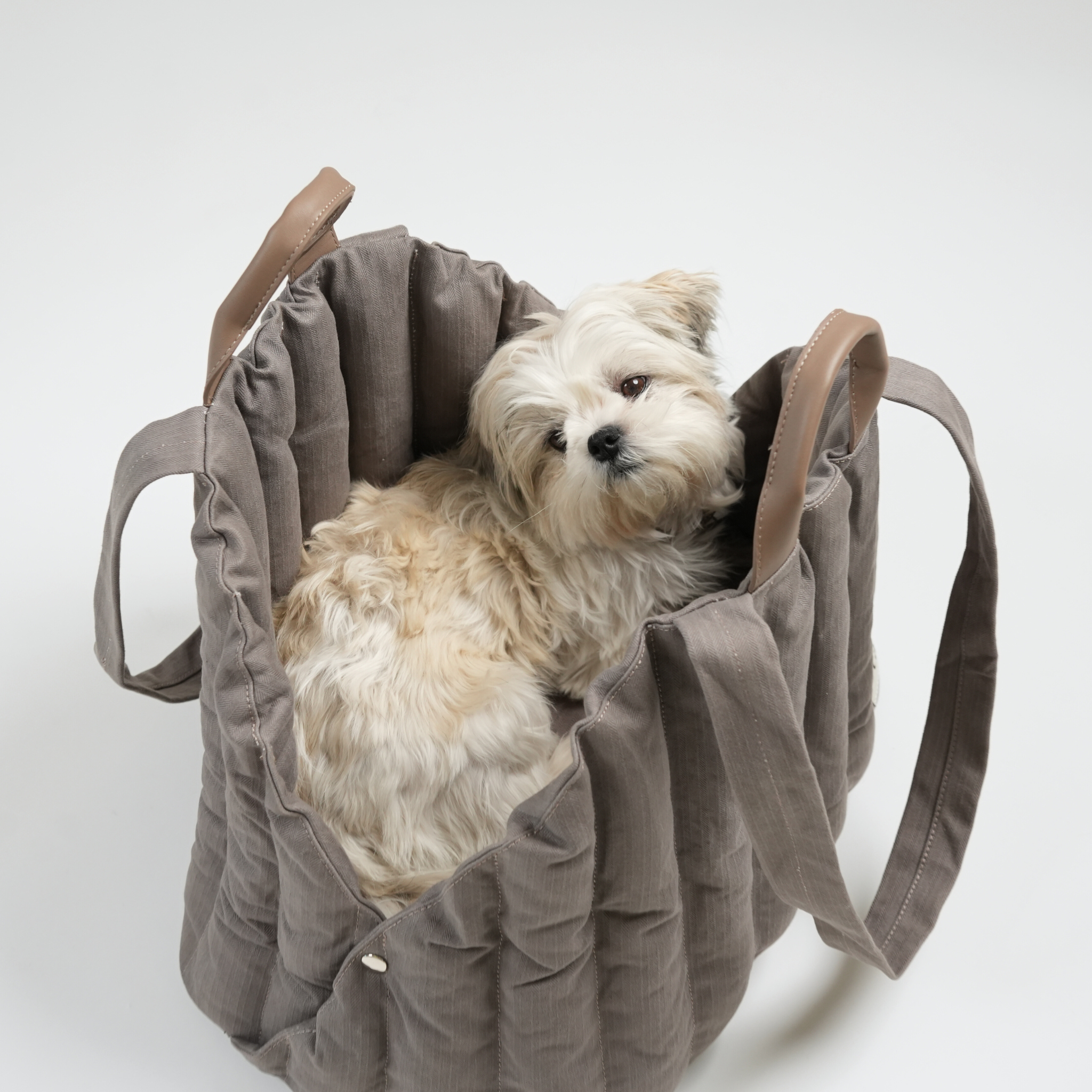Staey – wholesale Pet carrier – Dog – Carrier Bag Elva | Taupe6