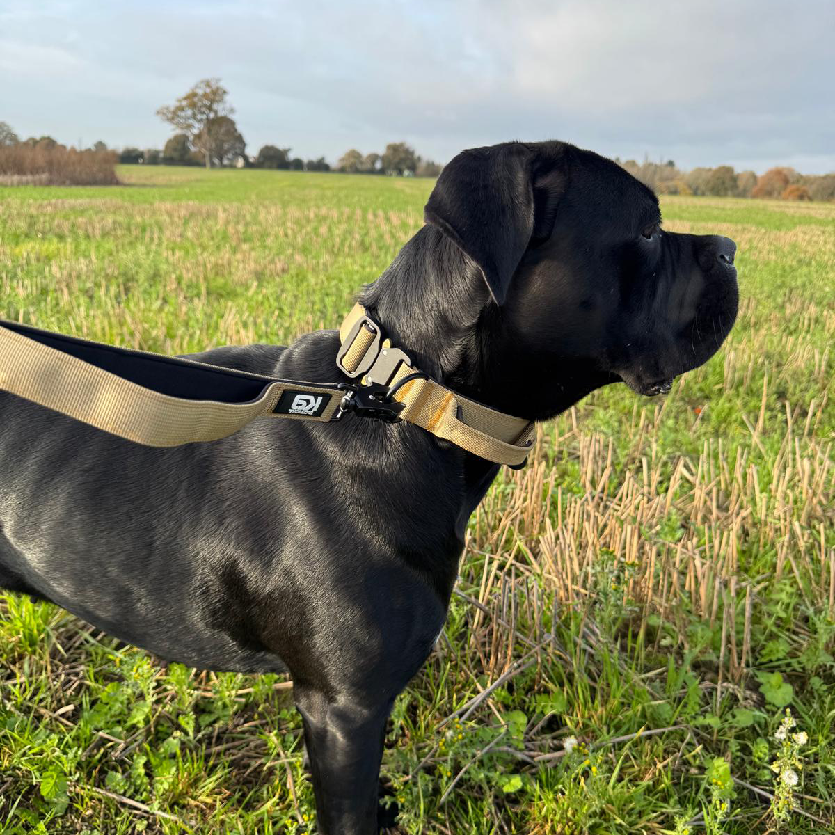 HugglePets – wholesale Pet collar – Dog – HugglePets Tactical K9 Endurance Dog Collar25