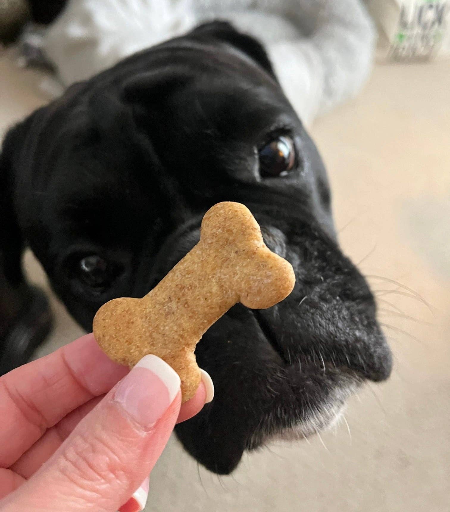 Unleash The Crunch - Vente Friandises – chien - Friandises croustillantes au beurre de cacahuète pour chiens2