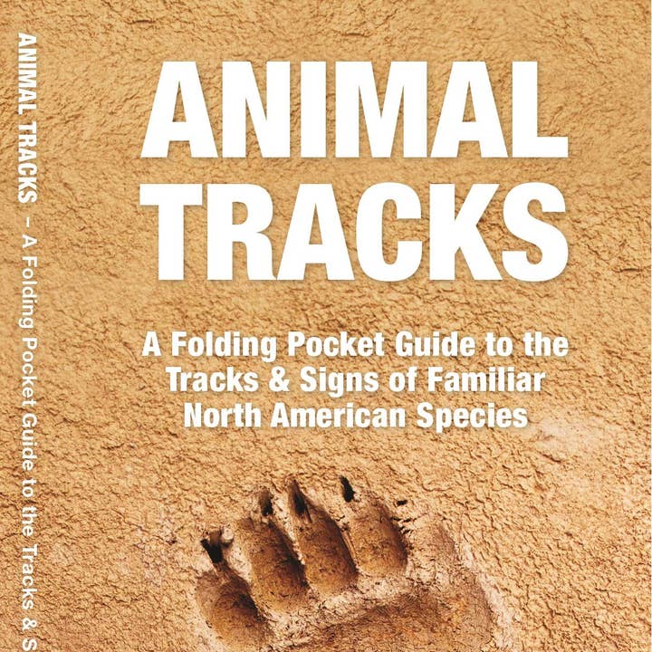 National Book Network - Wholesale Nature & Outdoors - Animal Tracks: A Folding Pocket Guide0