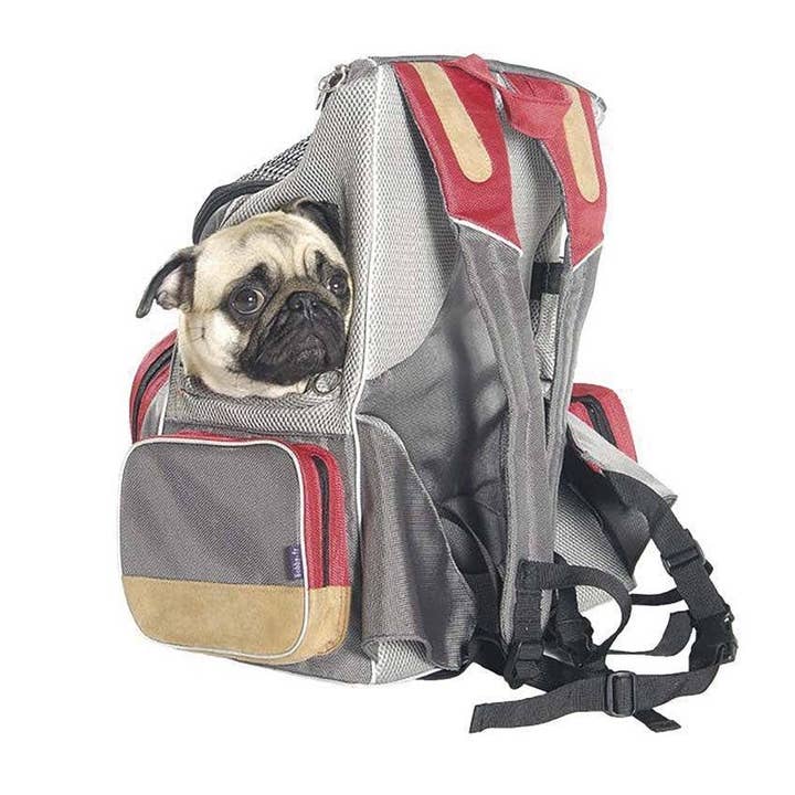 Croci Group - Wholesale Pet Carrier - Dog - Dog backpack carrier – Dune - Bobby1