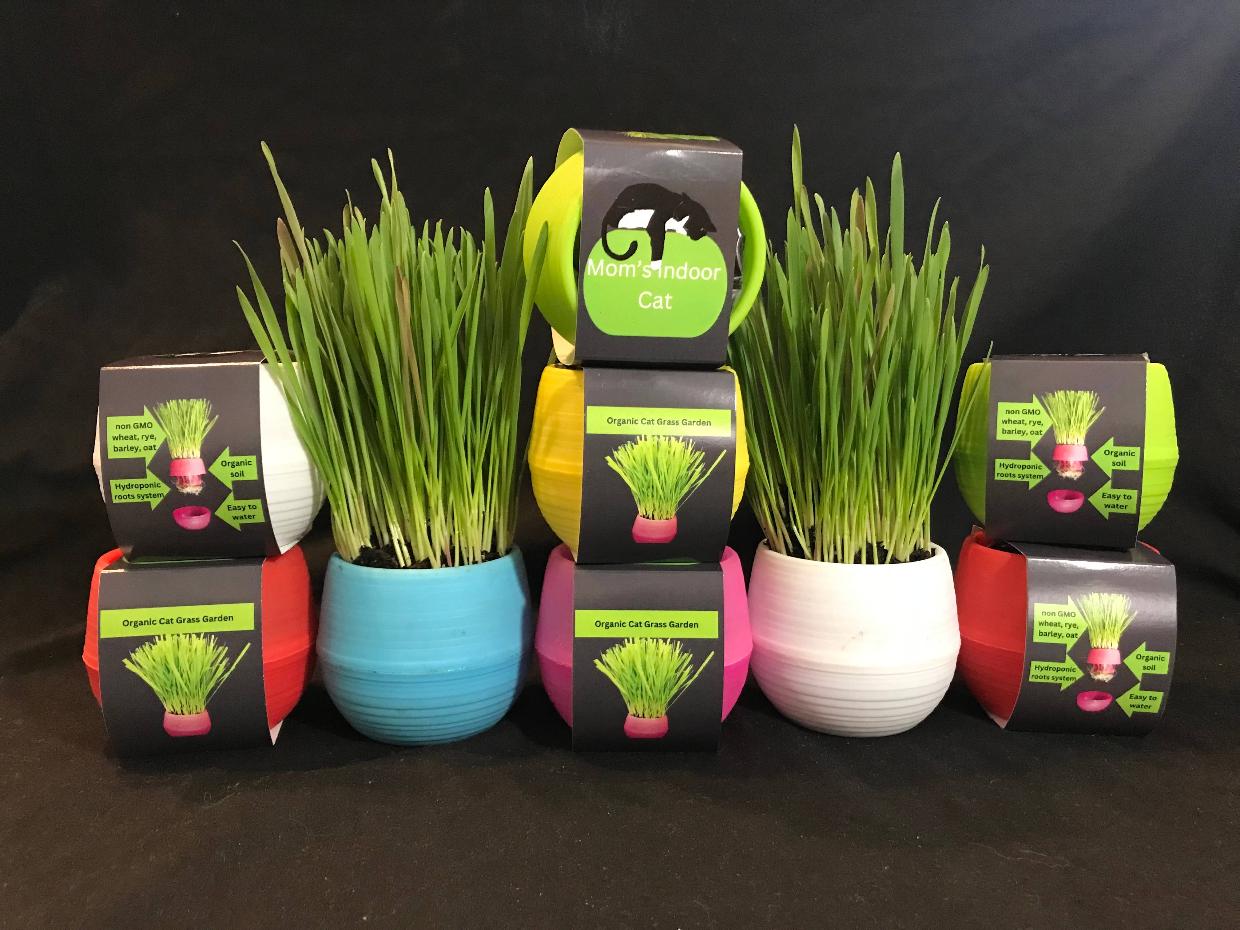 Mom’s Indoor Cat - Wholesale Pet Treats - Cat - Cat Grass Garden Balls6