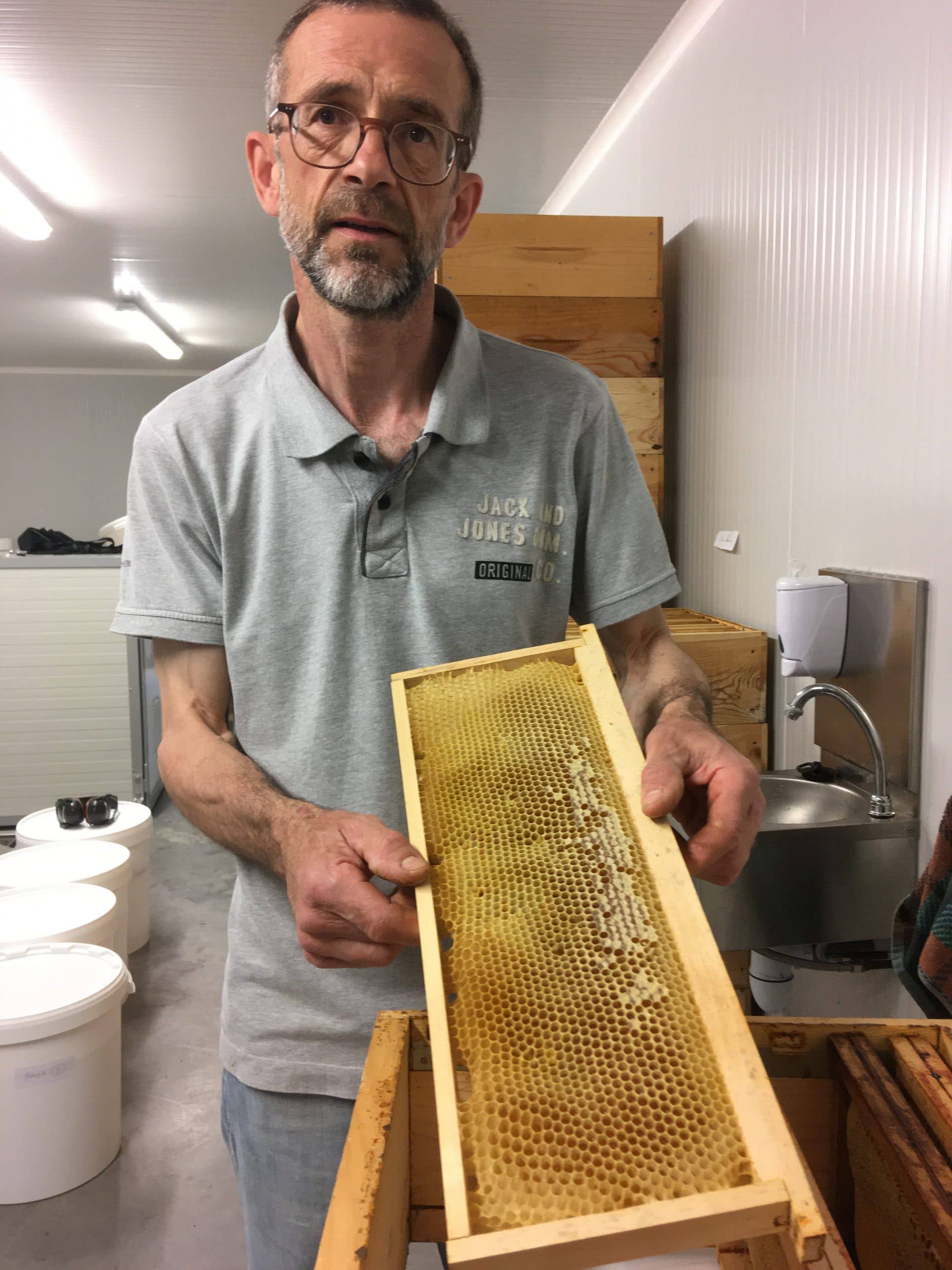 Zayti L.T.D.M - Venta al por mayor Miel - Miel cruda premium de aguacate mexicano - frasco de 300 g | 100 %5