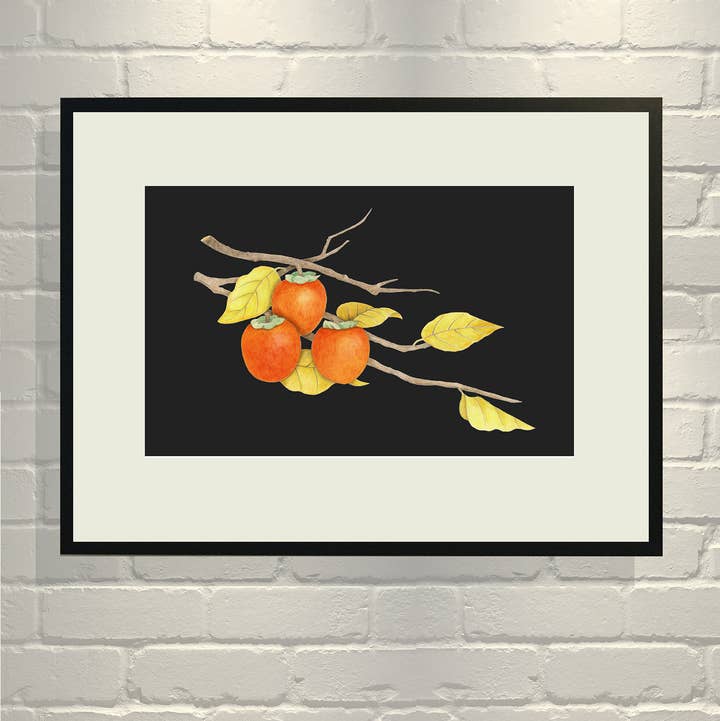 VMazzoni - Wholesale Art Print - Three Persimmons Botanical on Black