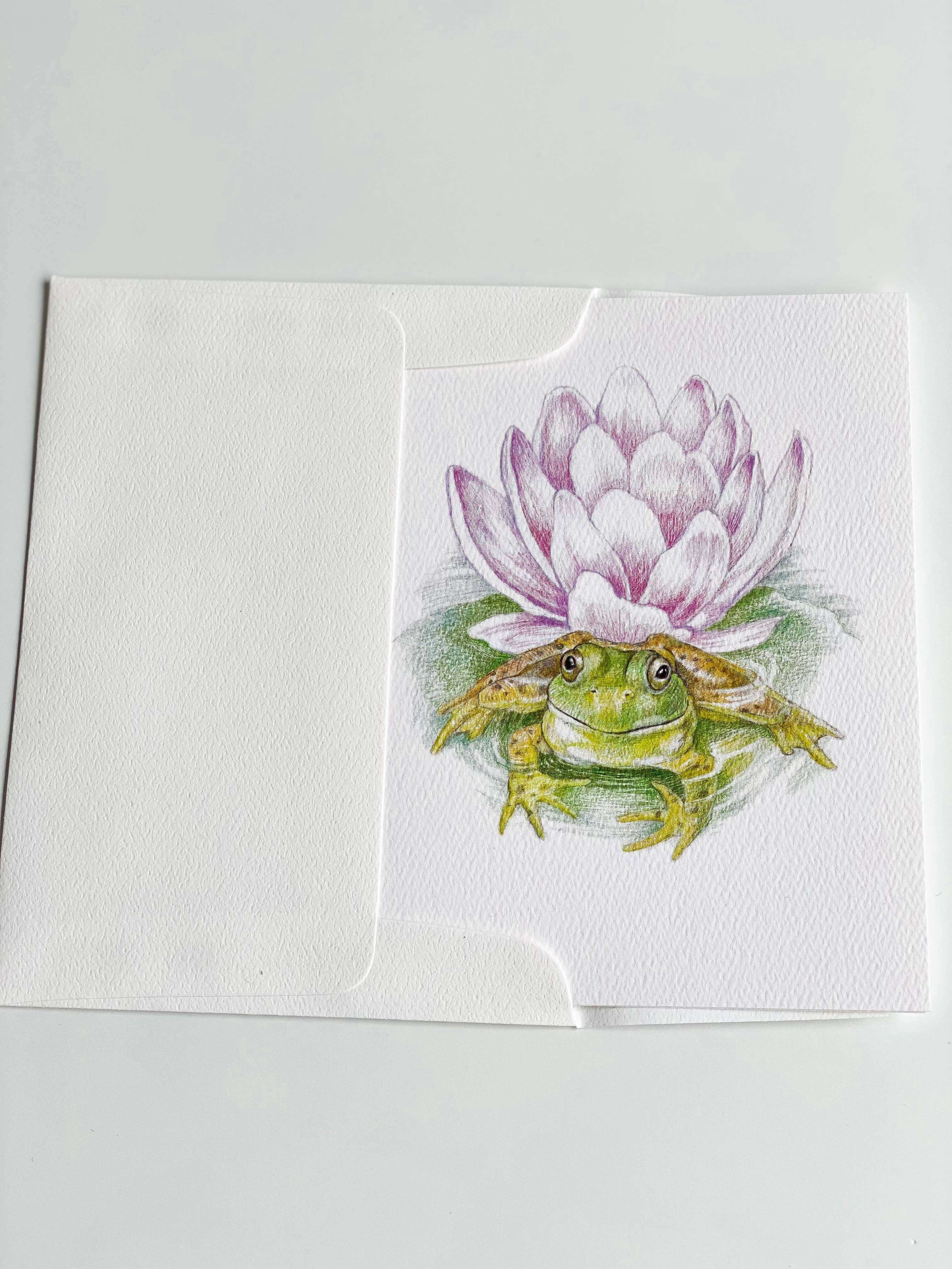 REMOVED BRAND - Wholesale Stationery/Notecard Set - Garden Frog - Boxed Set2